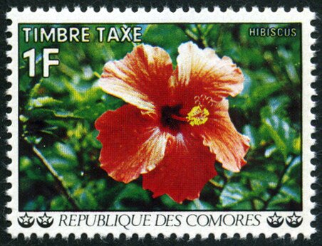 Stamp
